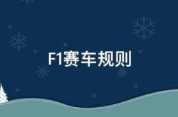 极速赛车世界-F1赛车规来自则